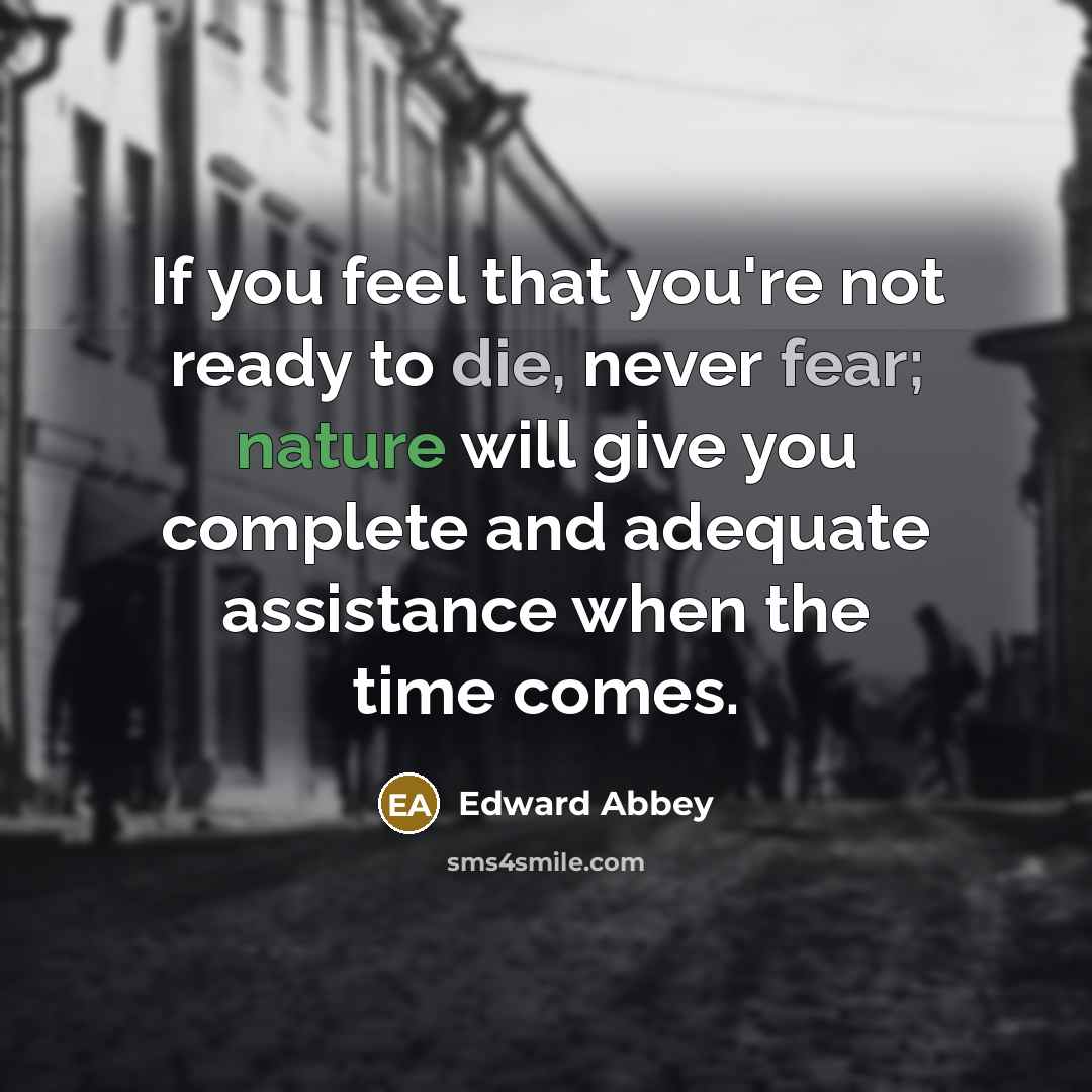 “If you feel that you're not ready to die, never…” quote by Edward Abbey