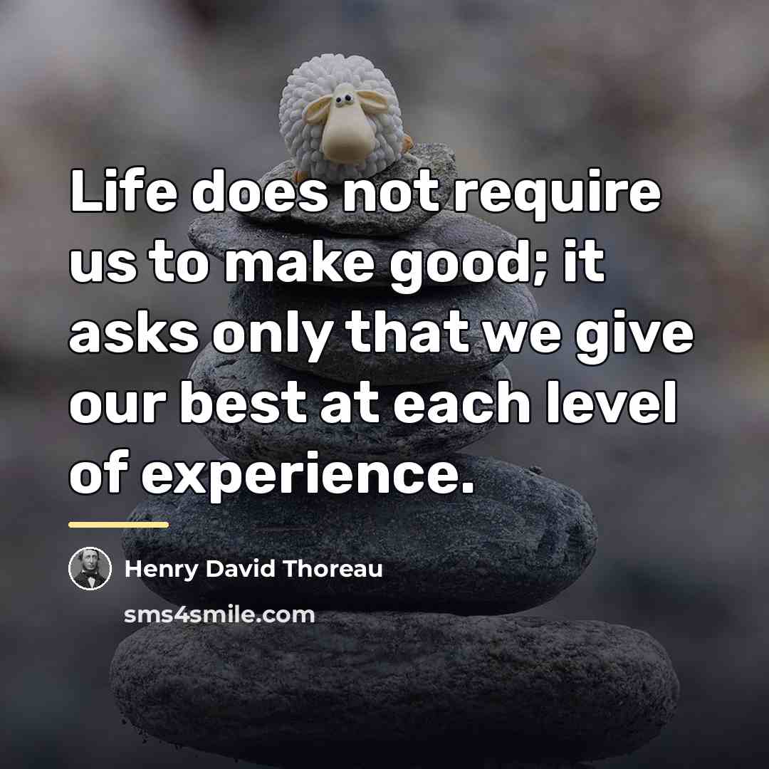 “Life does not require us to make good; it asks…” quote by Henry David Thoreau