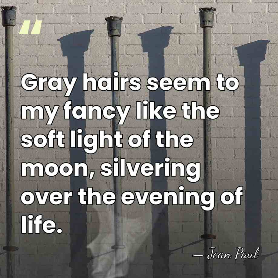 Gray hairs seem to my fancy like the soft light of the&hellip; - Jean Paul