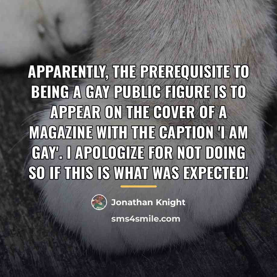“Apparently, the prerequisite to being a gay public figure is…” quote by Jonathan Knight
