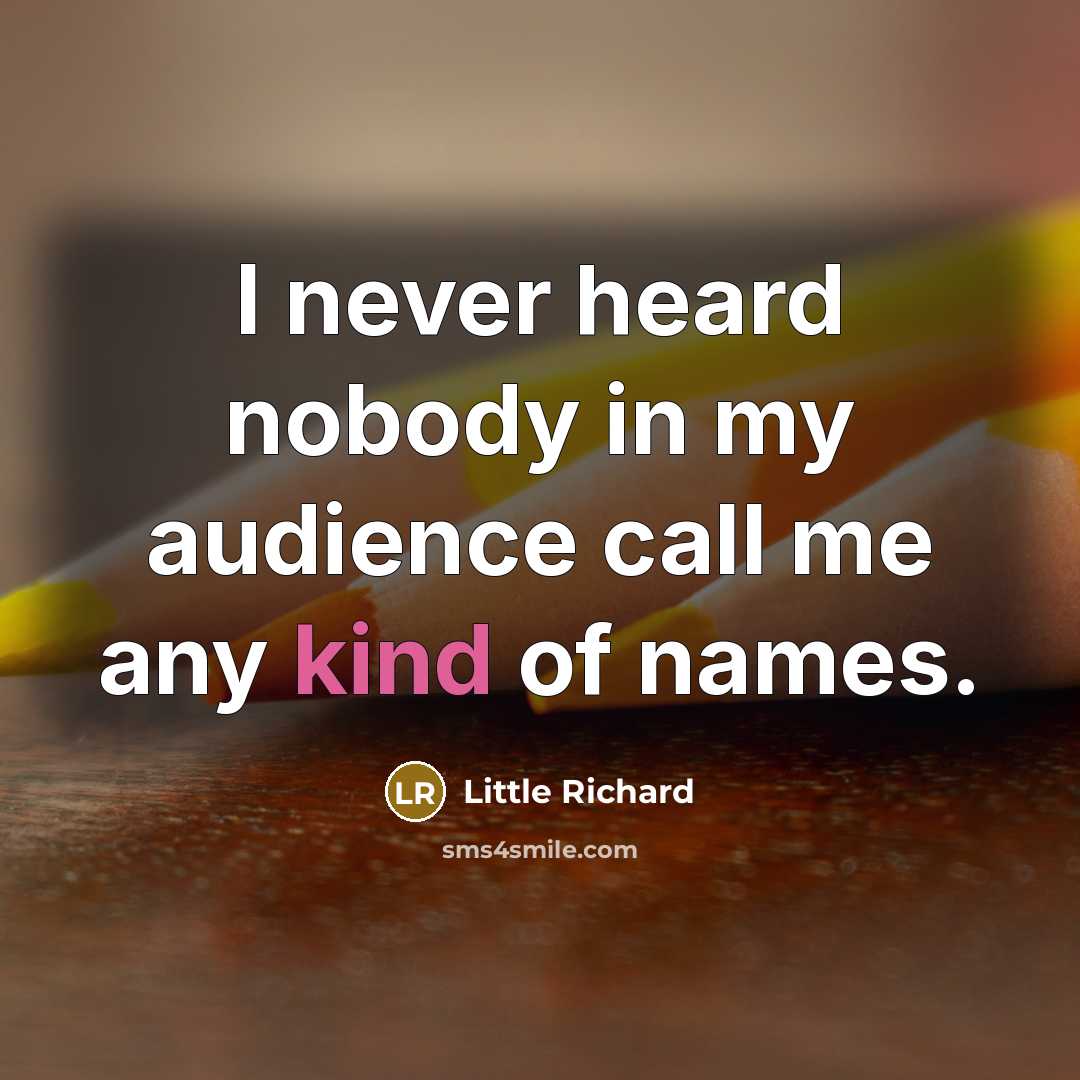 “I never heard nobody in my audience call me any…” quote by Little Richard