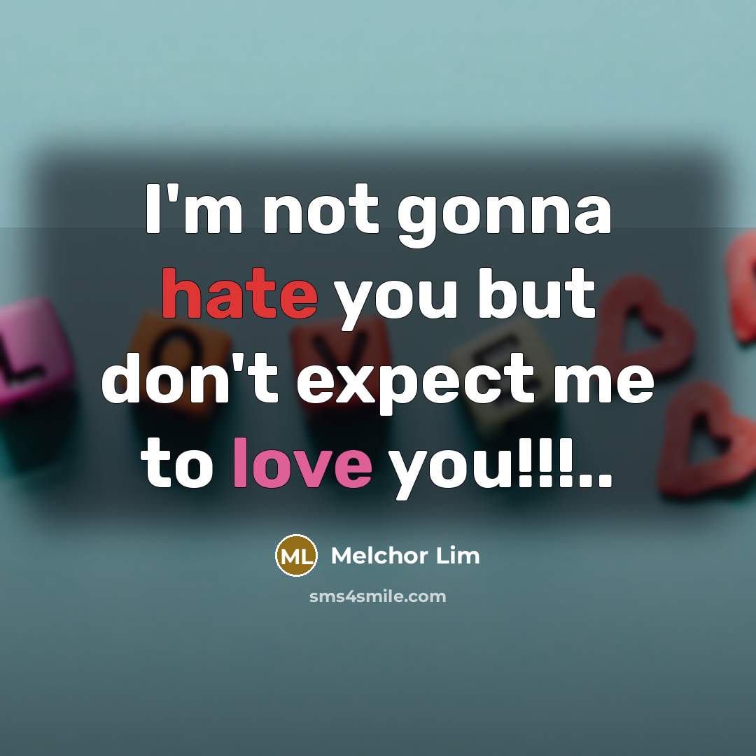 “I'm not gonna hate you but don't expect me to love you!!!..” quote by Melchor Lim