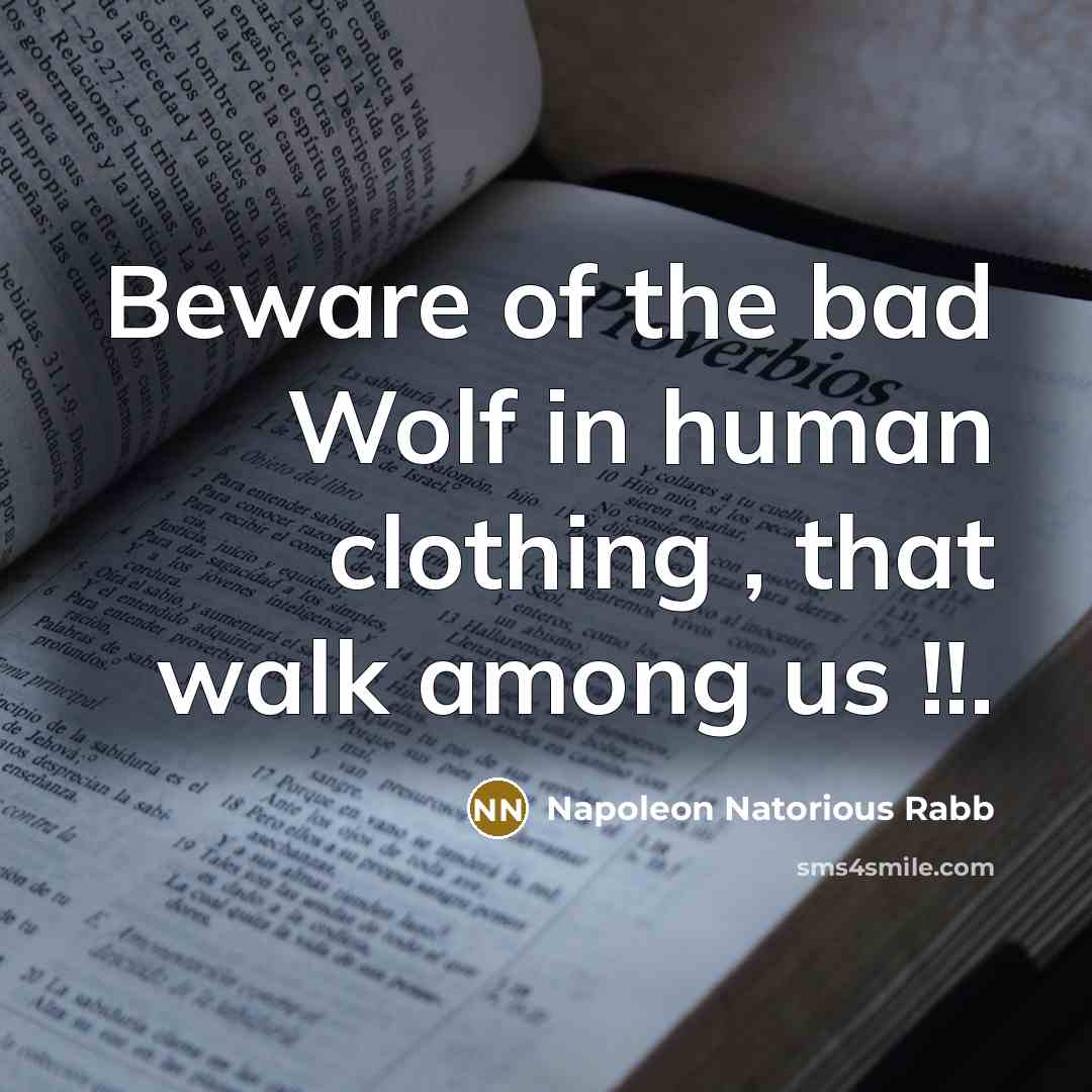 “Beware of the bad Wolf in human clothing , that…” quote by Napoleon Natorious Rabb