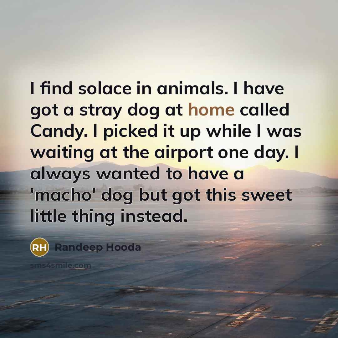 “I find solace in animals. I have got a stray…” quote by Randeep Hooda
