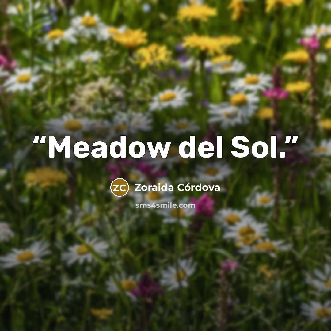 “Meadow del Sol.” quote by Zoraida Córdova