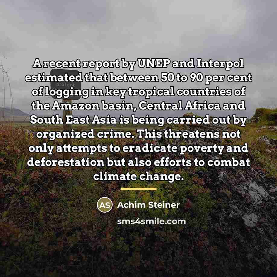 “A recent report by UNEP and Interpol estimated that between…” quote by Achim Steiner