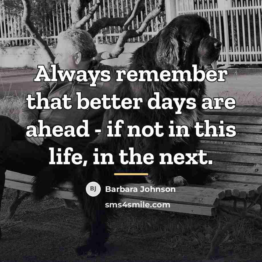 “Always remember that better days are ahead - if not…” quote by Barbara Johnson