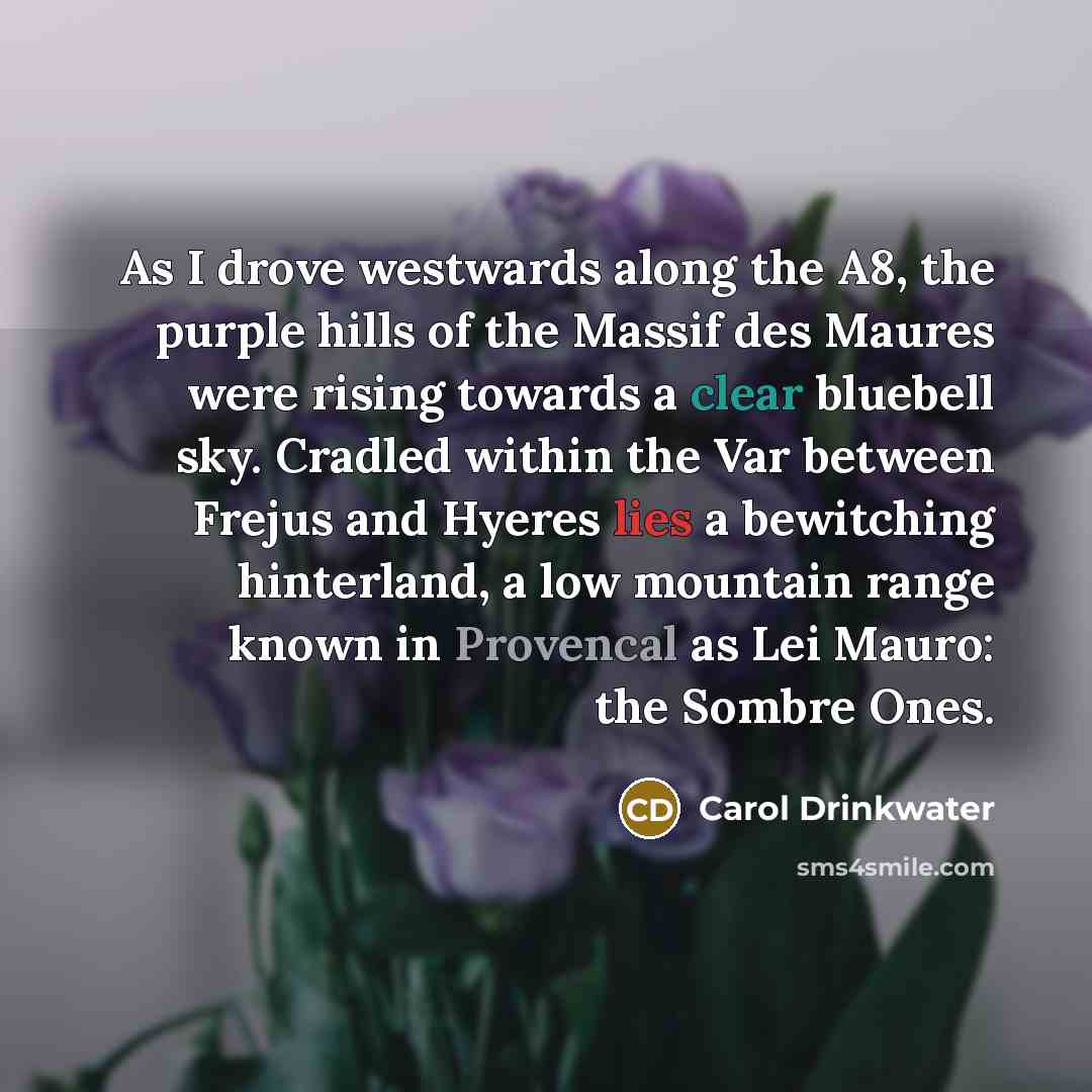 “As I drove westwards along the A8, the purple hills…” quote by Carol Drinkwater