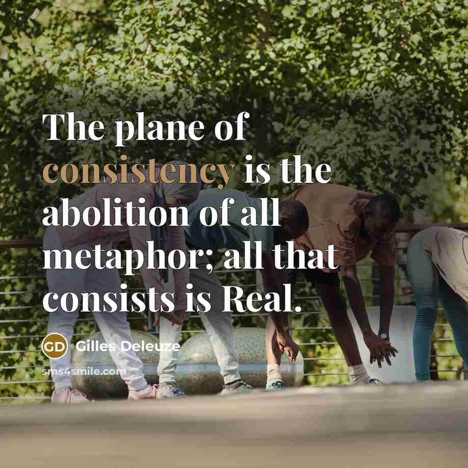 “The plane of consistency is the abolition of all metaphor;…” quote by Gilles Deleuze