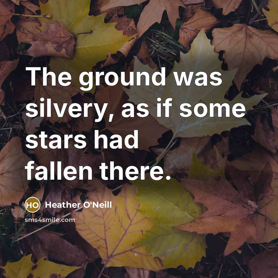 “The ground was silvery, as if some stars had fallen…” quote by Heather O'Neill
