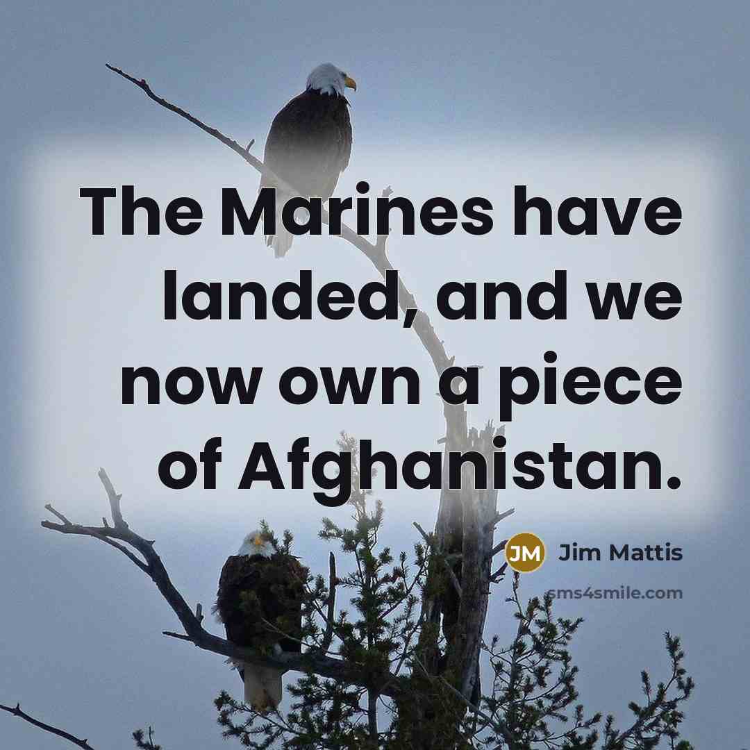 “The Marines have landed, and we now own a piece…” quote by Jim Mattis