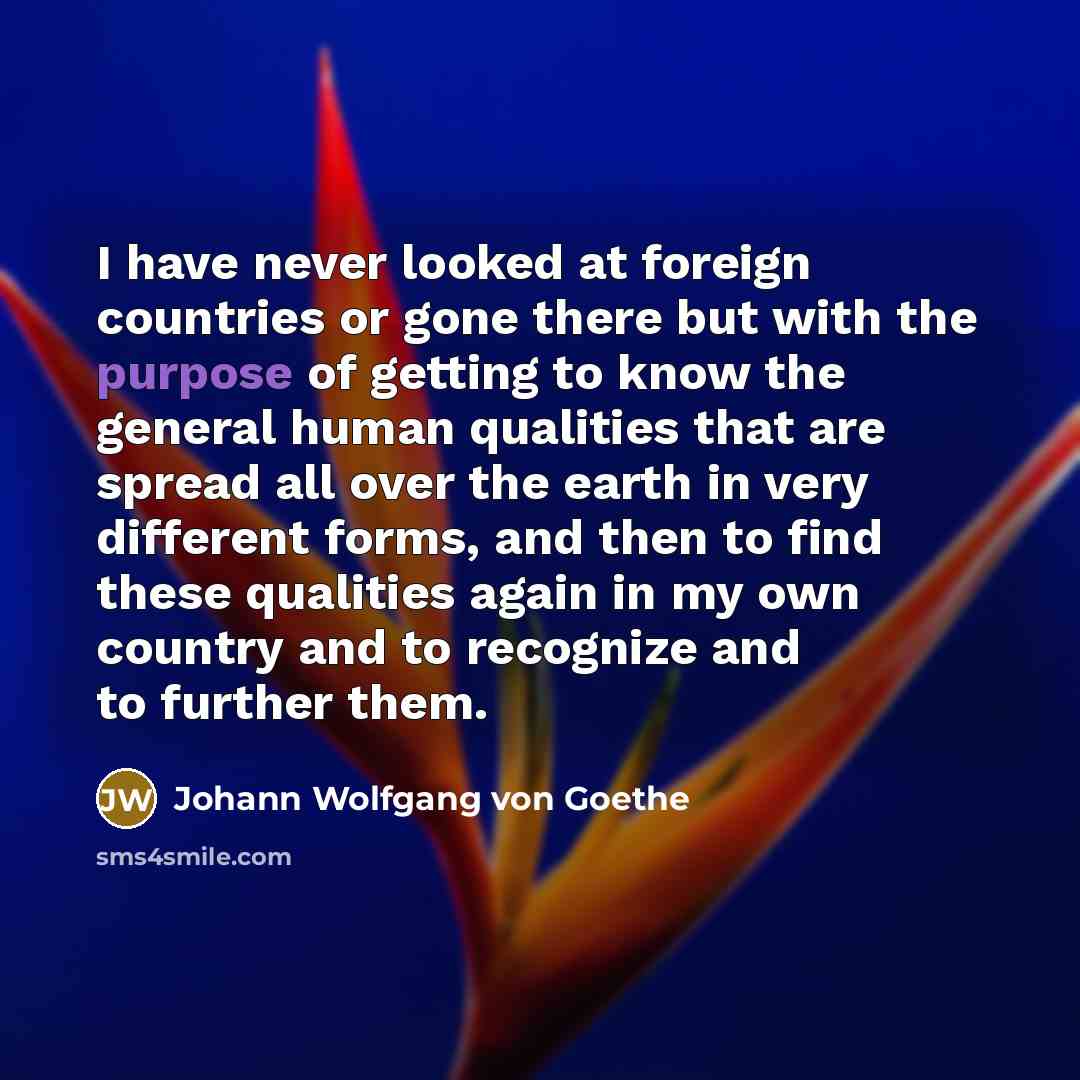 “I have never looked at foreign countries or gone there…” quote by Johann Wolfgang von Goethe