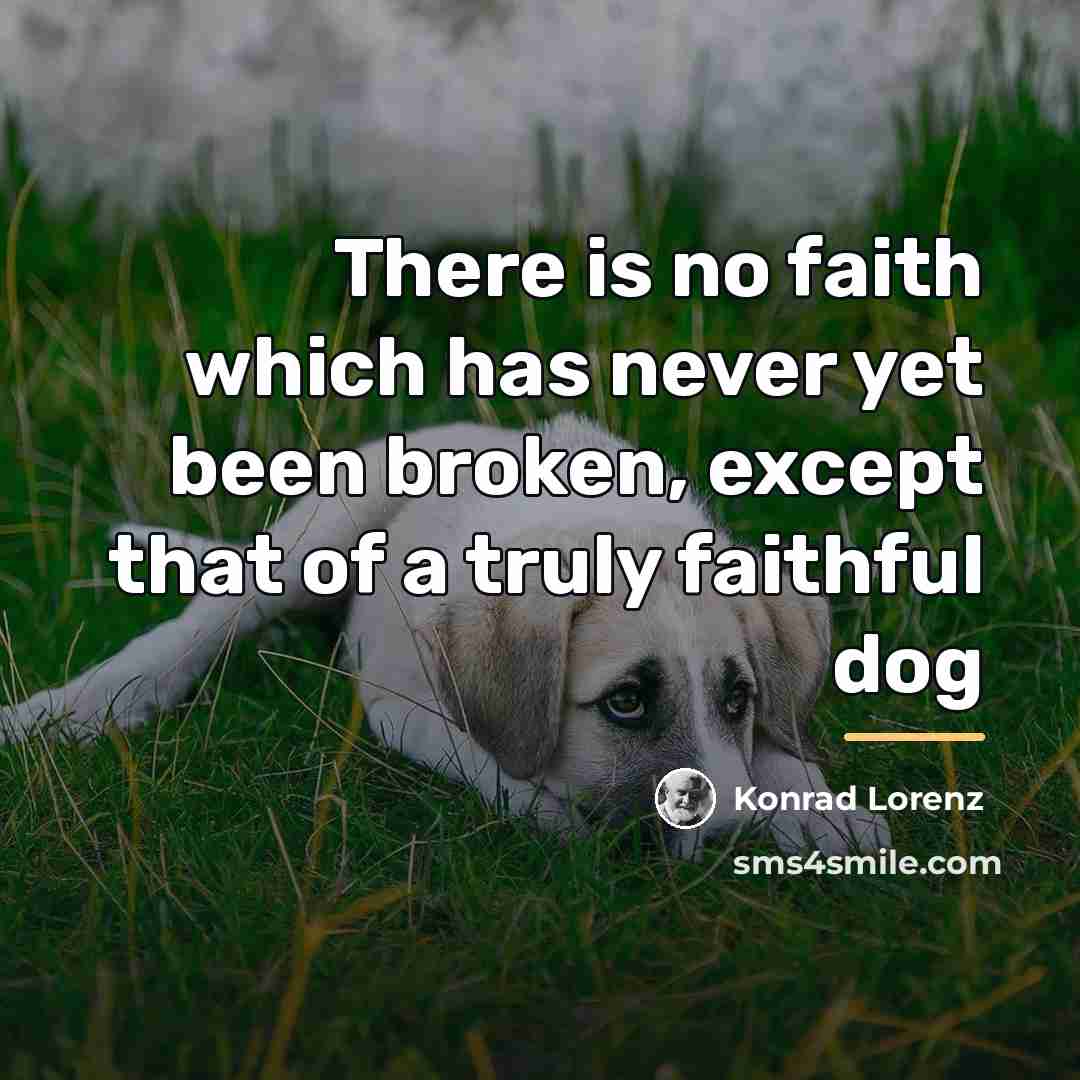 “There is no faith which has never yet been broken,…” quote by Konrad Lorenz