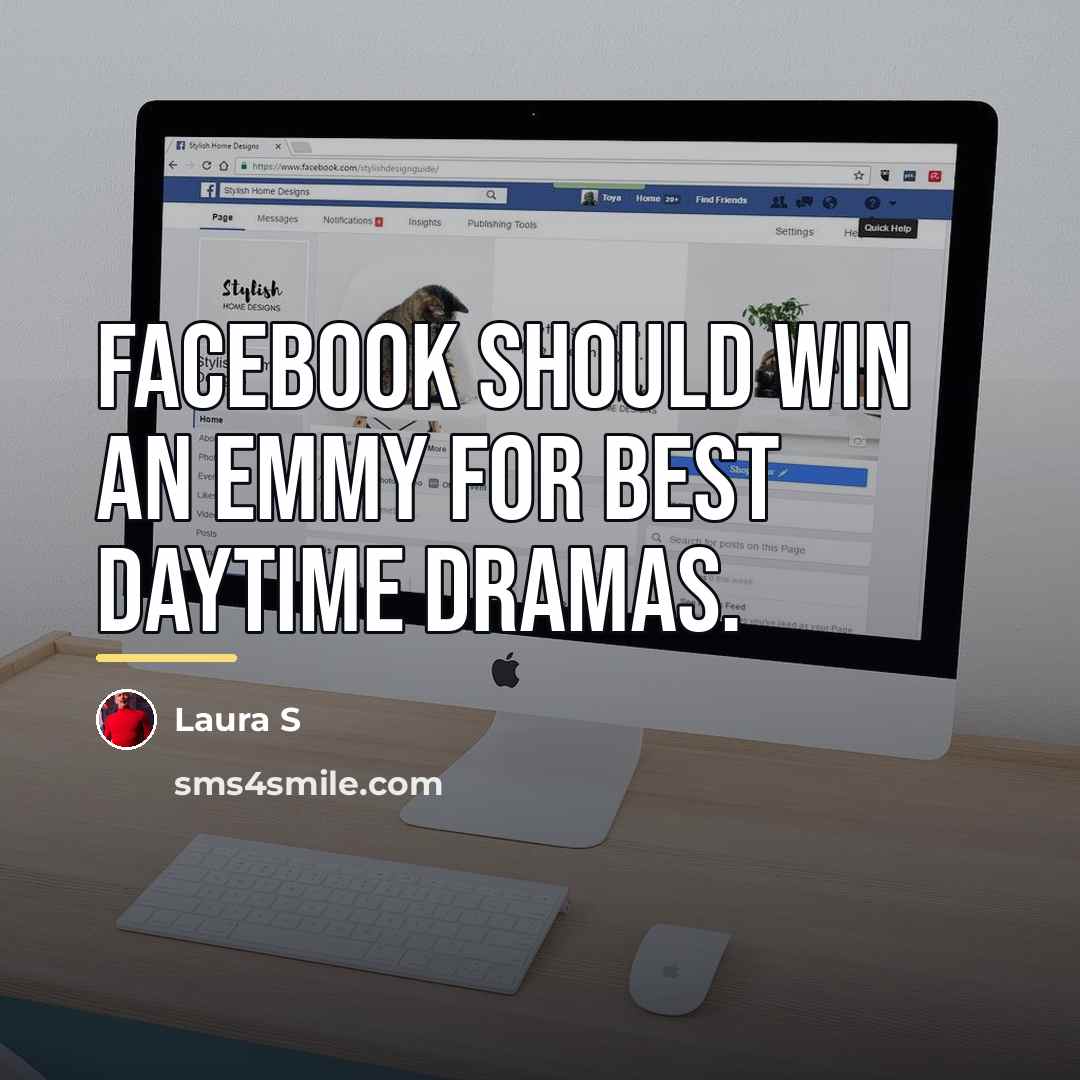 “Facebook should win an Emmy for Best Daytime dramas.…” quote by Laura S
