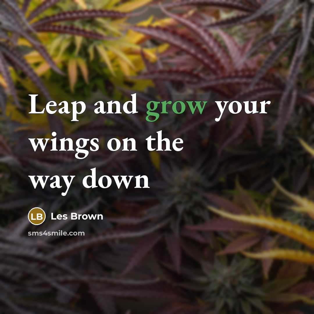 “Leap and grow your wings on the way down…” quote by Les Brown
