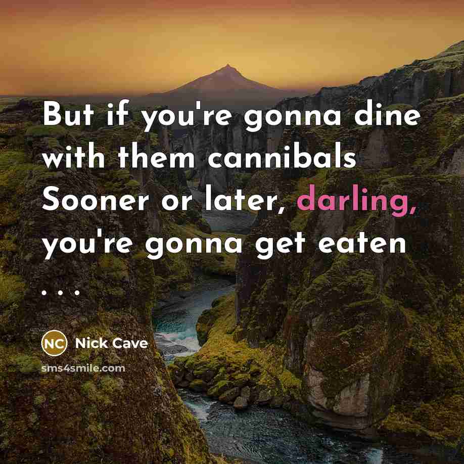 “But if you're gonna dine with them cannibals Sooner or…” quote by Nick Cave