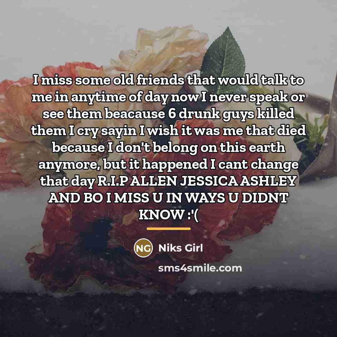 “I miss some old friends that would talk to me…” quote by Niks Girl