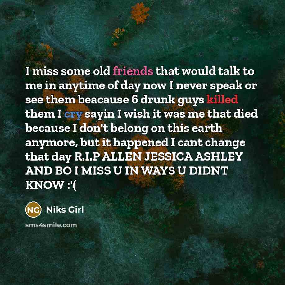 “I miss some old friends that would talk to me in anytime of day now I never speak or see them beacause 6 drunk guys killed them I cry sayin I wish it was me that died because I don't belong on this earth anymore, but it happened I cant change that day R.I.P ALLEN JESSICA ASHLEY AND BO I MISS U IN…” quote by Niks Girl