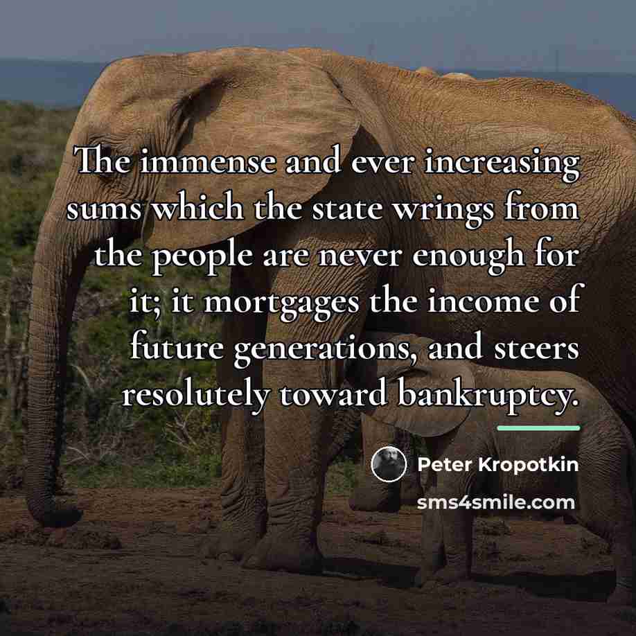 “The immense and ever increasing sums which the state wrings…” quote by Peter Kropotkin