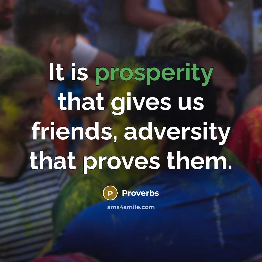 “It is prosperity that gives us friends, adversity that proves…” quote by Proverbs