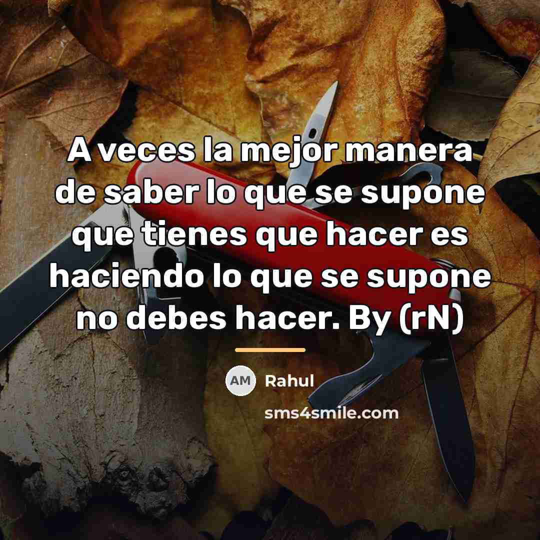 “A veces la mejor manera de saber lo que se…” quote by Rahul