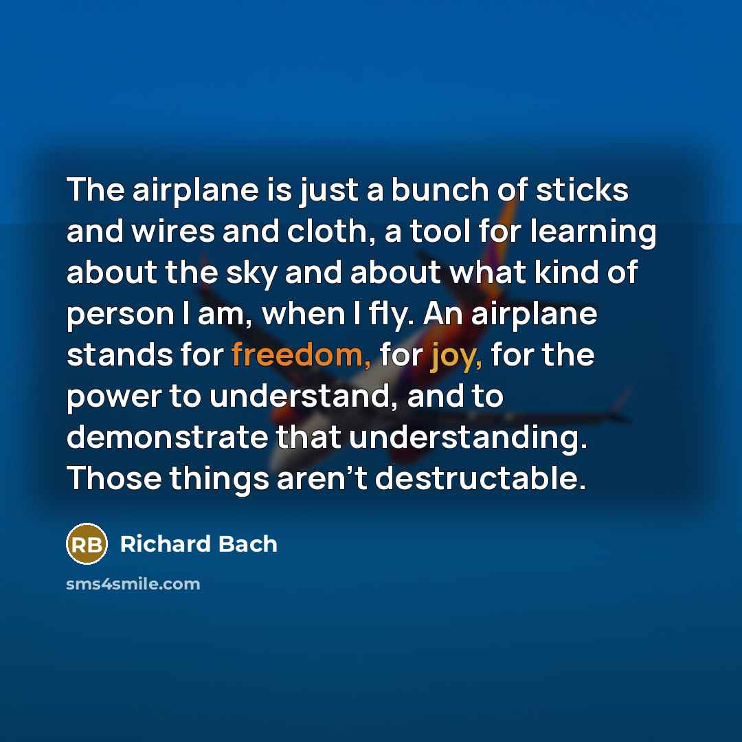 “The airplane is just a bunch of sticks and wires…” quote by Richard Bach