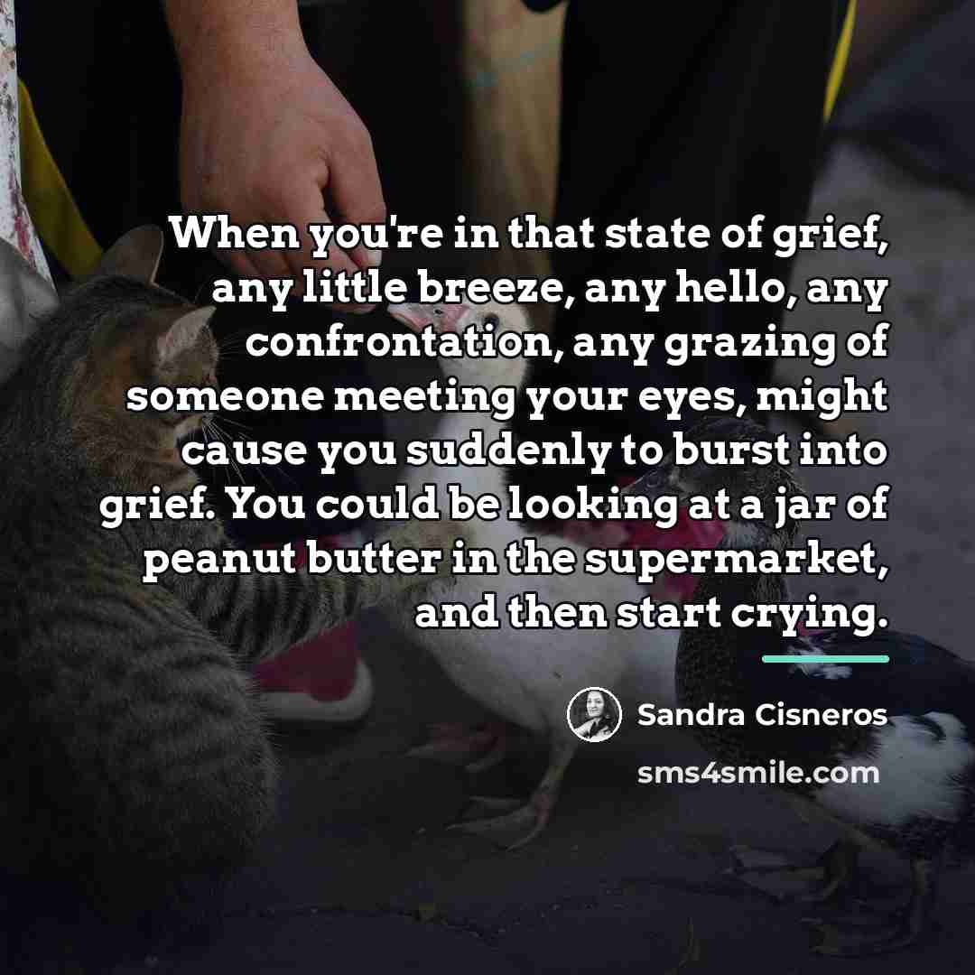“When you're in that state of grief, any little breeze,…” quote by Sandra Cisneros