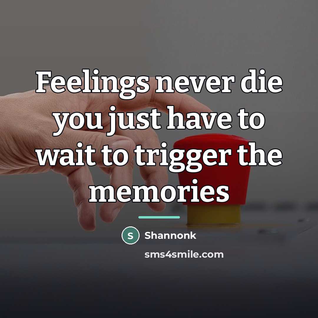 “Feelings never die you just have to wait to trigger…” quote by Shannonk