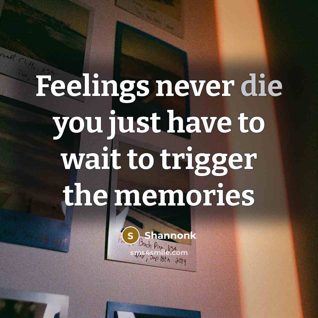 “Feelings never die you just have to wait to trigger the memories” quote by Shannonk