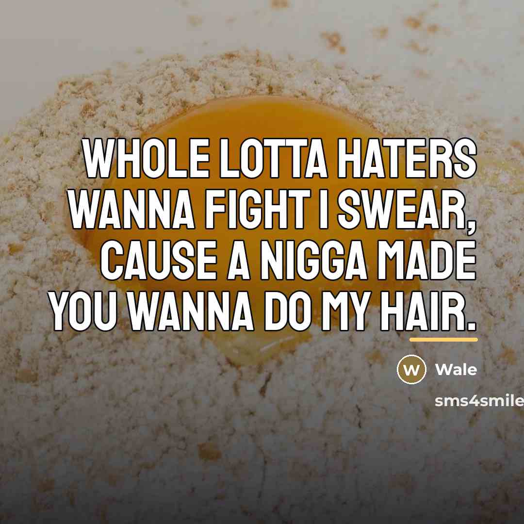 “Whole lotta haters wanna fight I swear, cause a nigga…” quote by Wale