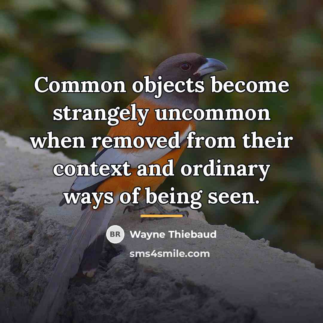 “Common objects become strangely uncommon when removed from their context…” quote by Wayne Thiebaud