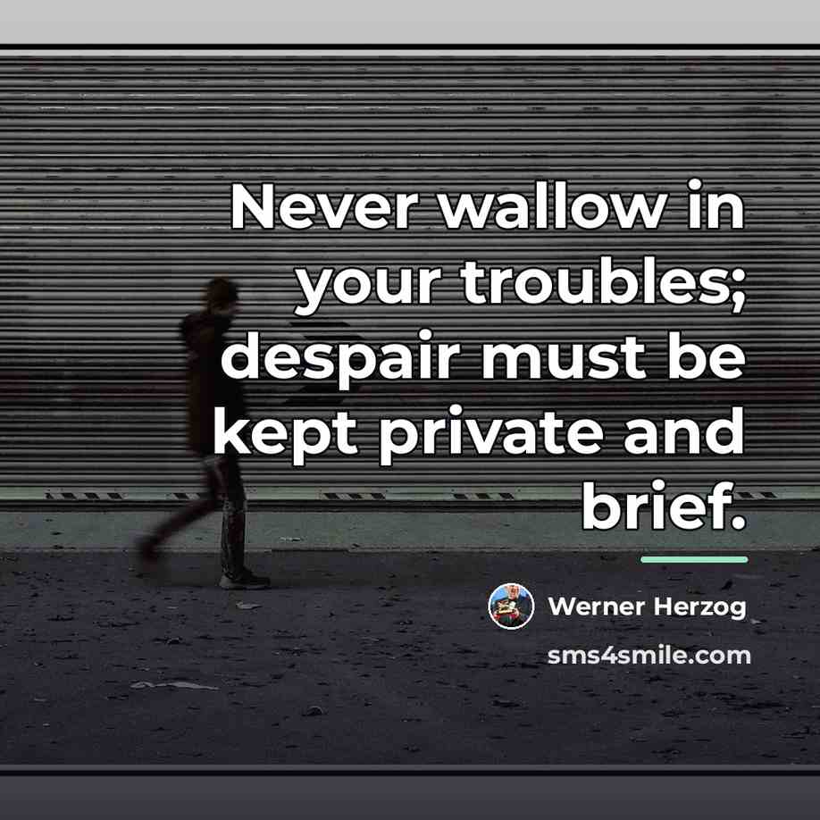 “Never wallow in your troubles; despair must be kept private…” quote by Werner Herzog