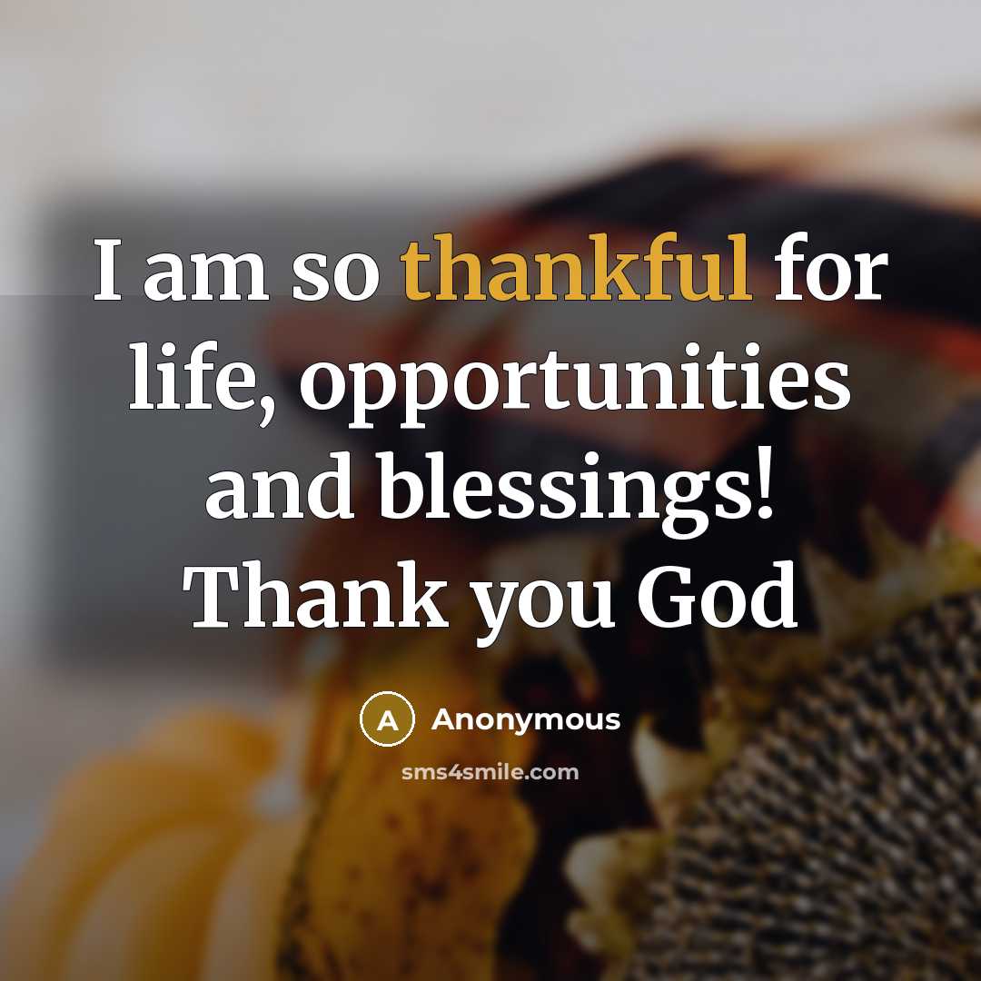 “I am so thankful for life, opportunities and blessings! Thank…” quote by Anonymous