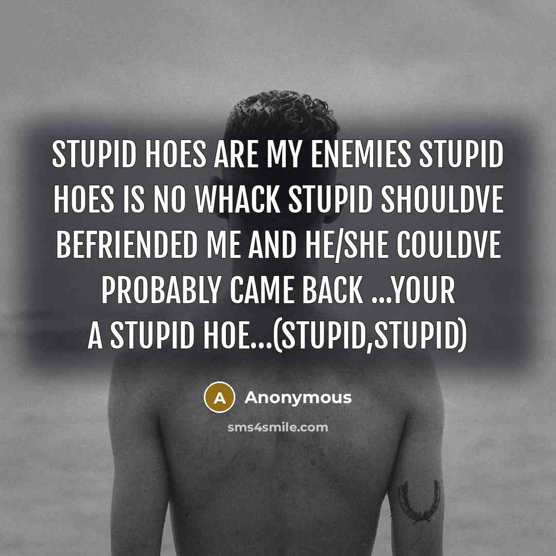 “STUPID HOES ARE MY ENEMIES STUPID HOES IS NO WHACK STUPID SHOULDVE BEFRIENDED ME AND HE/SHE COULDVE PROBABLY CAME BACK ...YOUR A STUPID HOE…(STUPID,STUPID)” quote by Anonymous