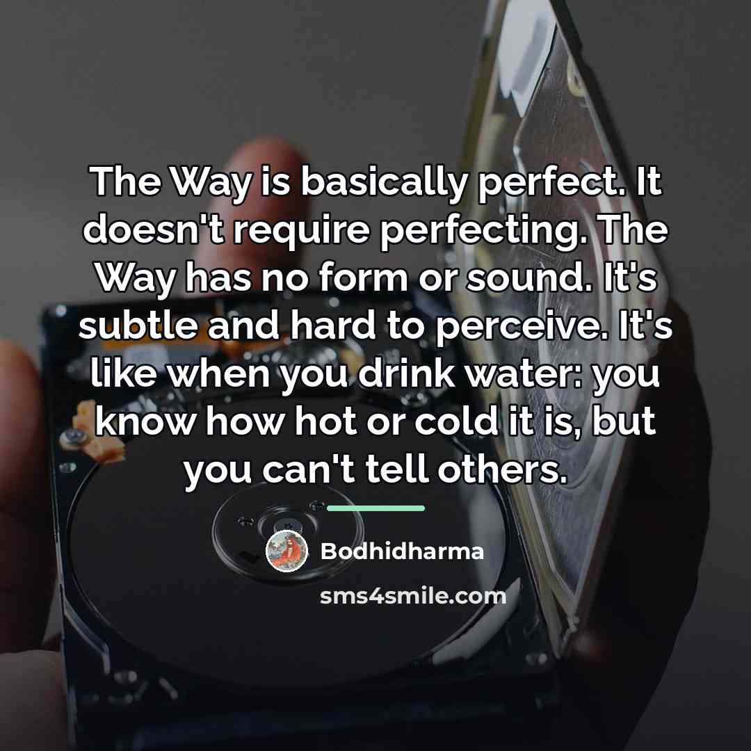 “The Way is basically perfect. It doesn't require perfecting. The…” quote by Bodhidharma