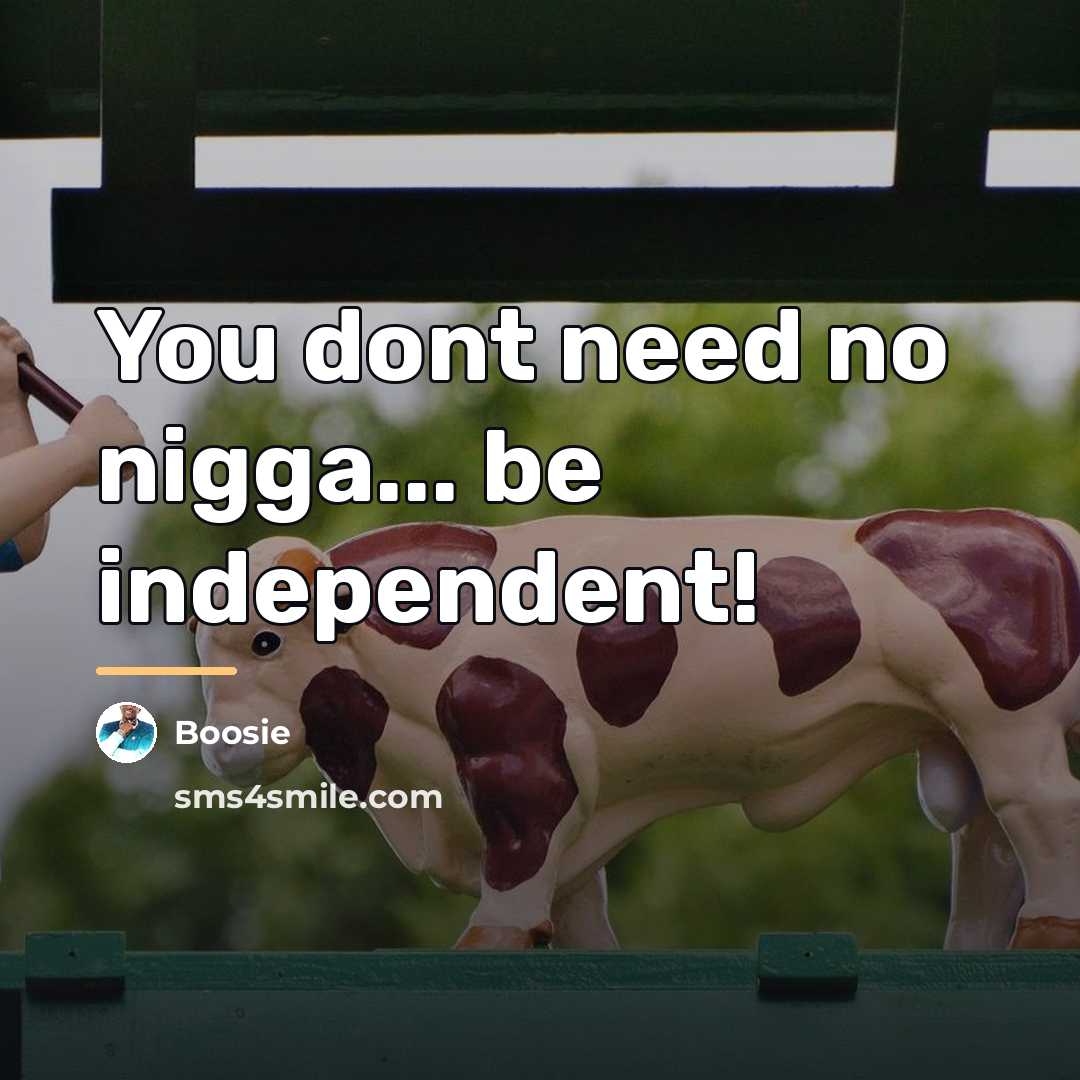 “You dont need no nigga... be independent!…” quote by Boosie