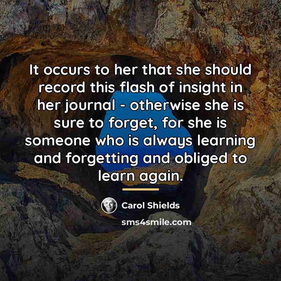 “It occurs to her that she should record this flash…” quote by Carol Shields