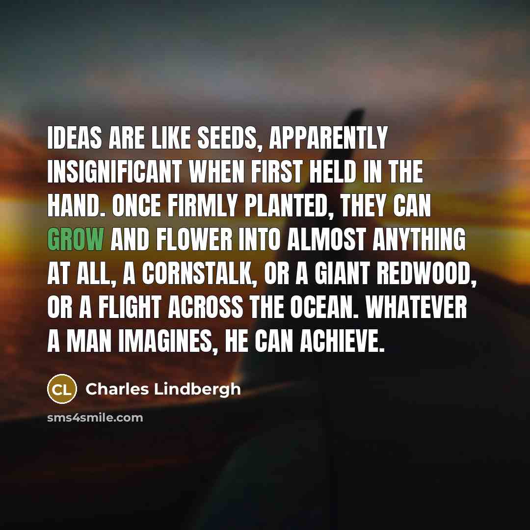 “Ideas are like seeds, apparently insignificant when first held in…” quote by Charles Lindbergh