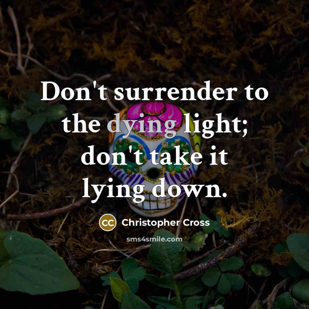 “Don't surrender to the dying light; don't take it lying…” quote by Christopher Cross