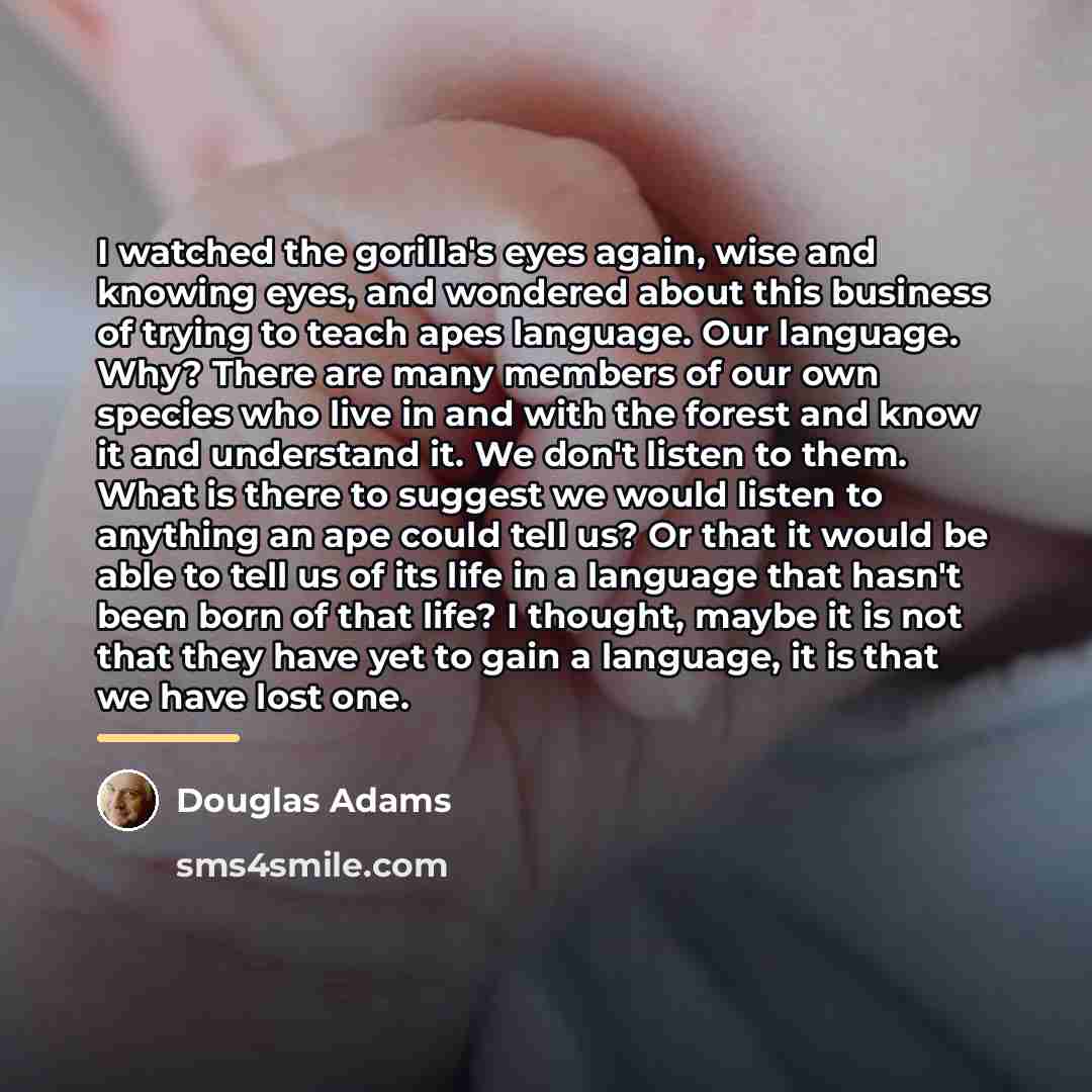 “I watched the gorilla's eyes again, wise and knowing eyes,…” quote by Douglas Adams