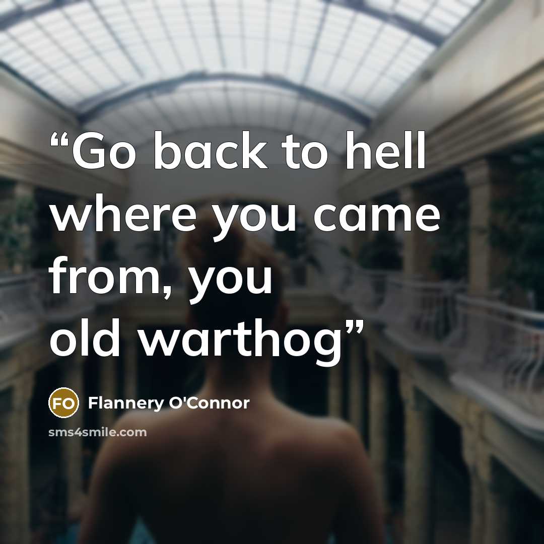 “Go back to hell where you came from, you old warthog” quote by Flannery O'Connor
