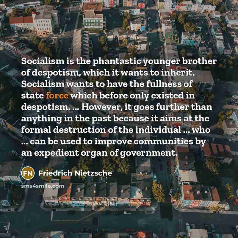 “Socialism is the phantastic younger brother of despotism, which it…” quote by Friedrich Nietzsche