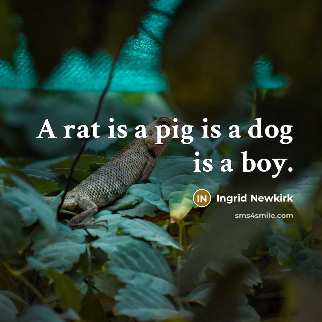 “A rat is a pig is a dog is a…” quote by Ingrid Newkirk
