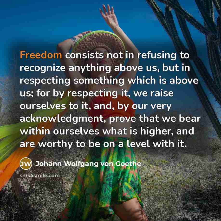 “Freedom consists not in refusing to recognize anything above us,…” quote by Johann Wolfgang von Goethe