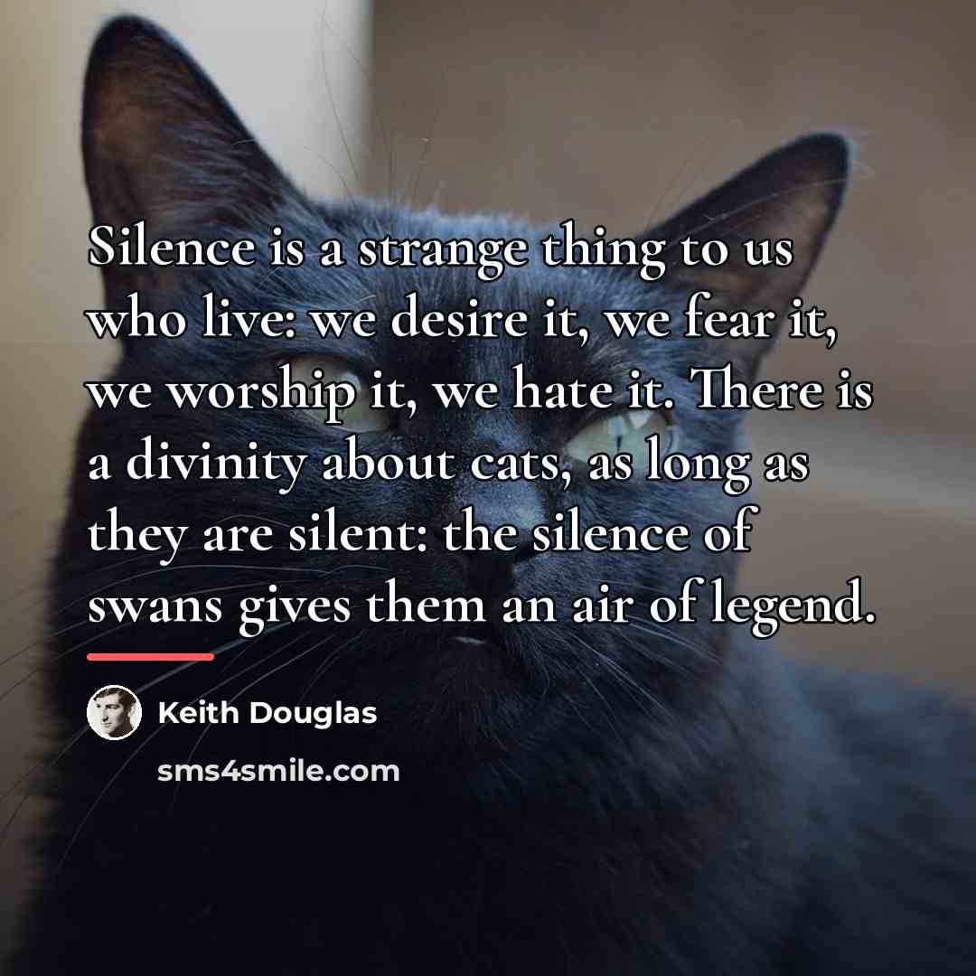 “Silence is a strange thing to us who live: we…” quote by Keith Douglas