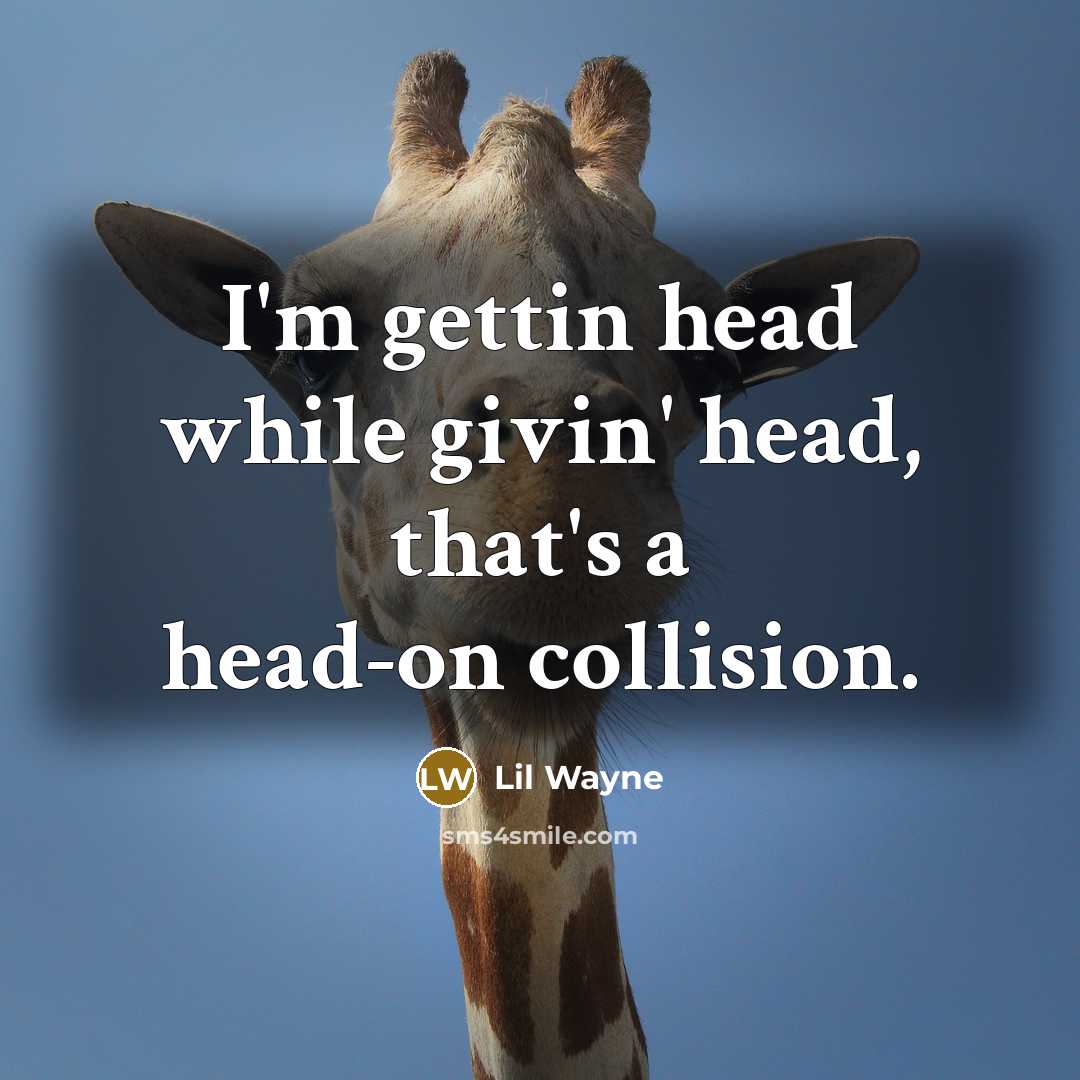 “I'm gettin head while givin' head, that's a head-on collision.” quote by Lil Wayne