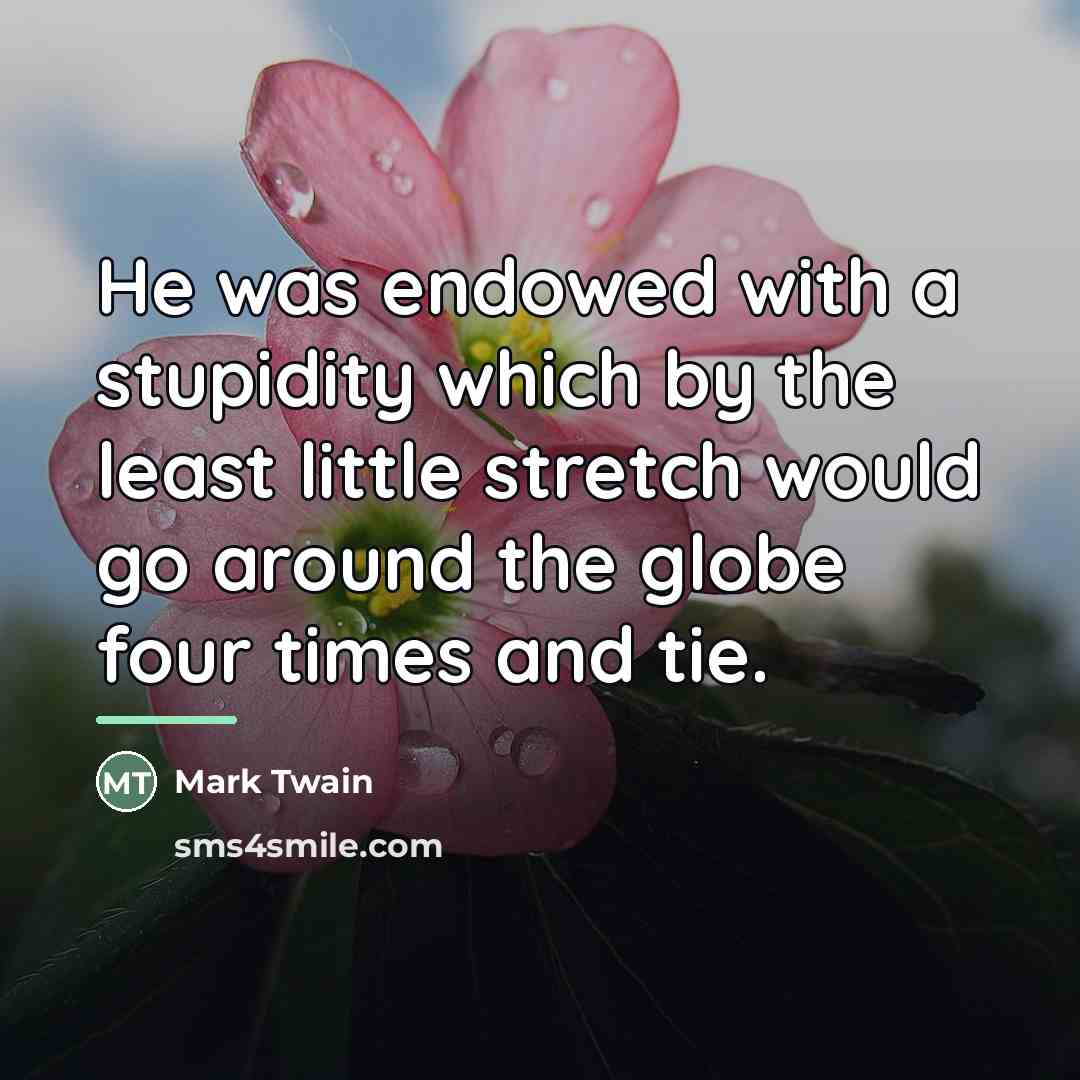 “He was endowed with a stupidity which by the least…” quote by Mark Twain