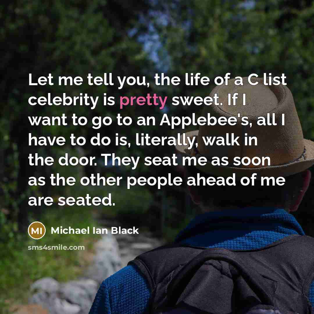 “Let me tell you, the life of a C list…” quote by Michael Ian Black