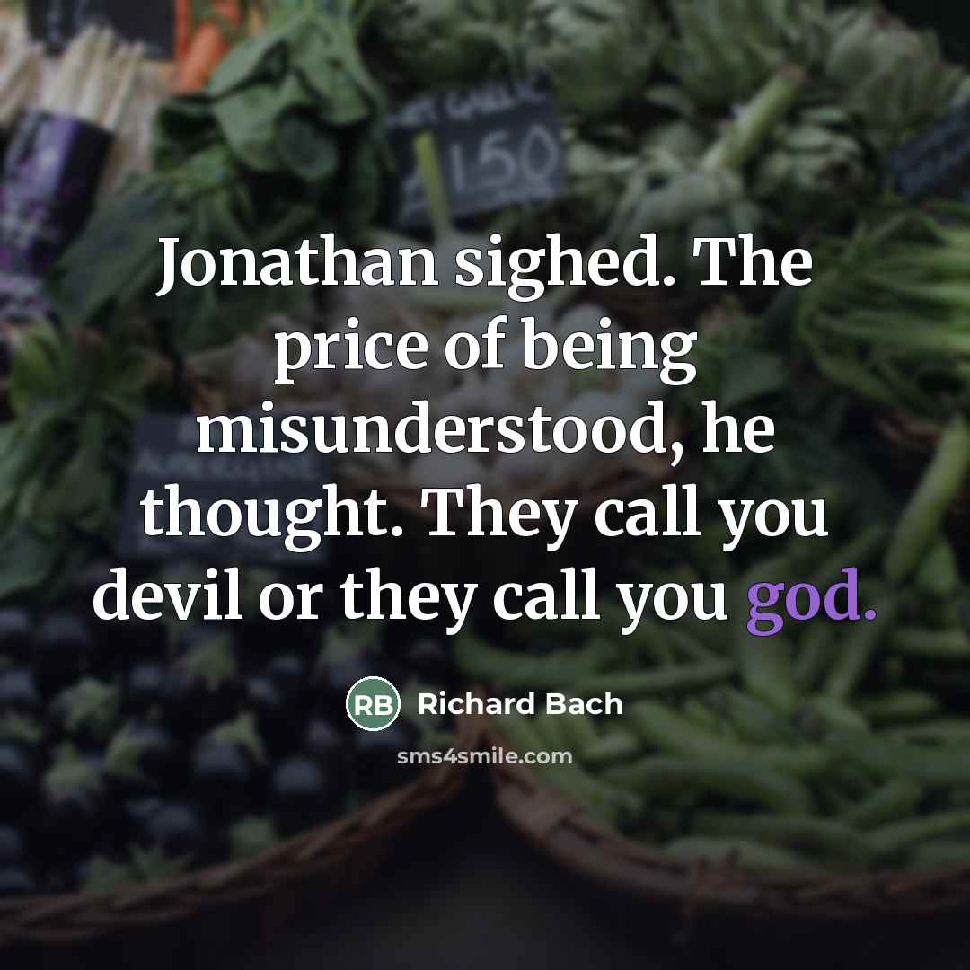 “Jonathan sighed. The price of being misunderstood, he thought. They…” quote by Richard Bach