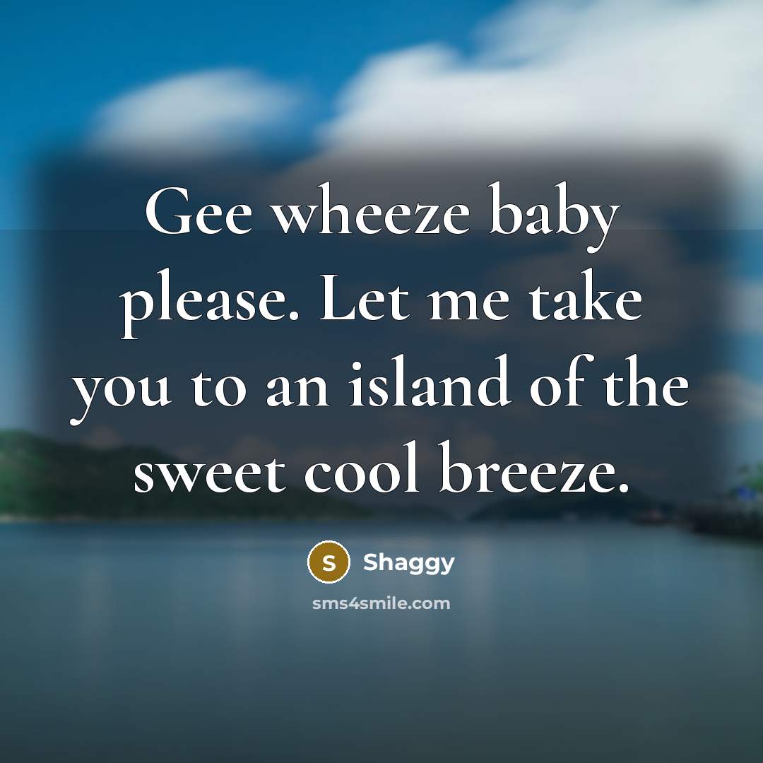 “Gee wheeze baby please. Let me take you to an island of the sweet cool breeze.” quote by Shaggy